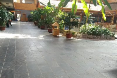 �_�ݥ֥�`���ȩ`�󥹥�֤νM�ɤ��؏�